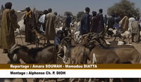 Capture d'écran de la vidéo "Pastoralisme" / Chantiers d'Afrique
